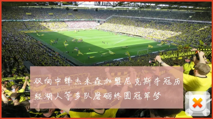 双向中锋杰米森加盟尼克斯夺冠历经湖人等多队磨砺终圆冠军梦