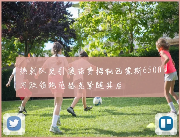 热刺队史引援花费揭秘西蒙斯6500万欧领跑范赫克紧随其后